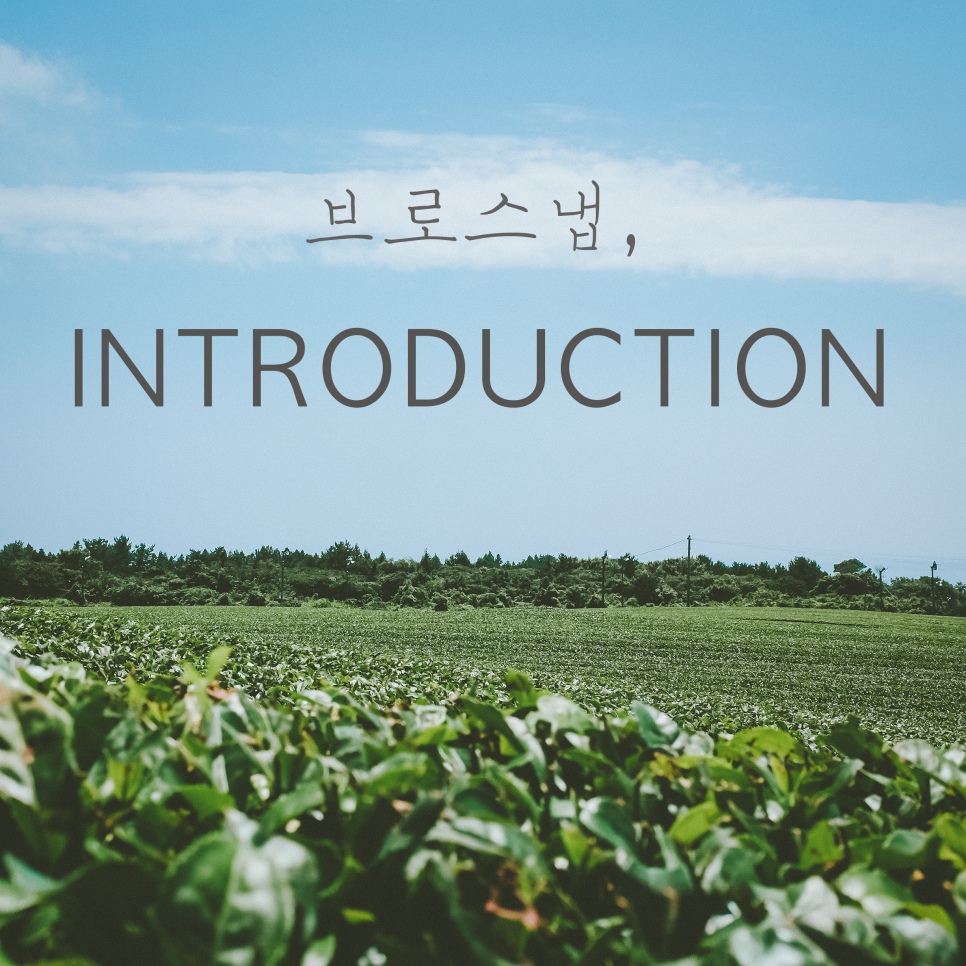 브로스냅 이미지