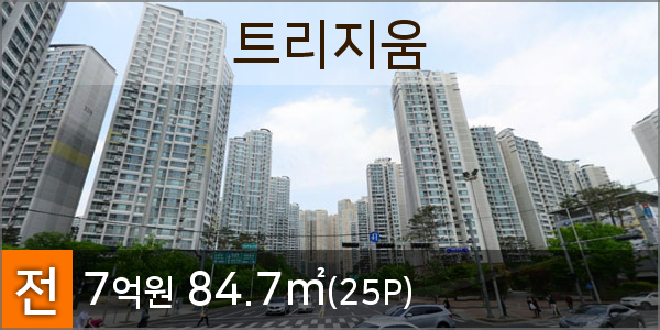 트리지움치과의원 이미지