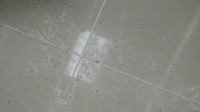 에코케어(eco-care) 이미지