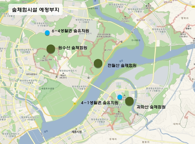 새빛유치원 이미지