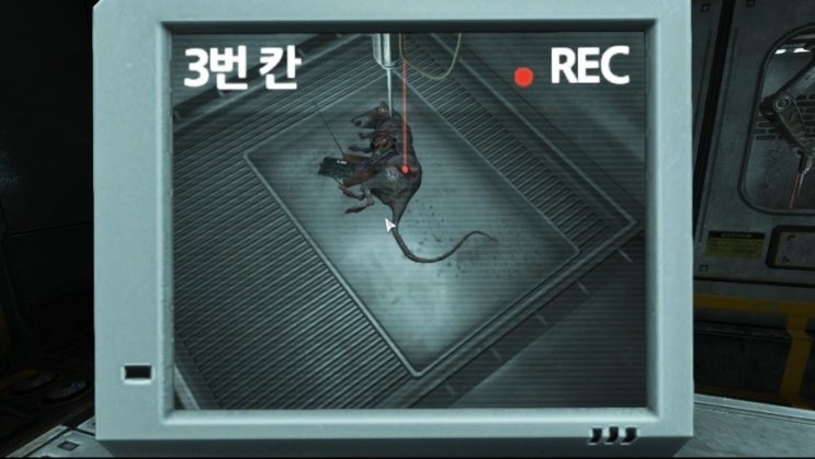 소마 이미지