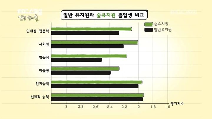 새빛유치원 이미지