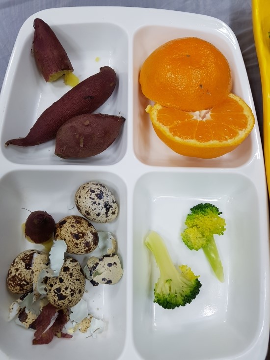 전원회타운 이미지