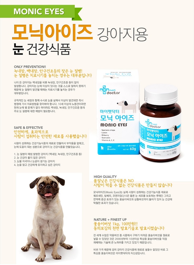 모닉 이미지
