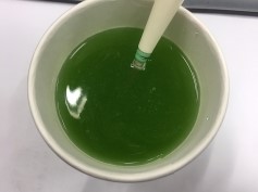 클로포 이미지