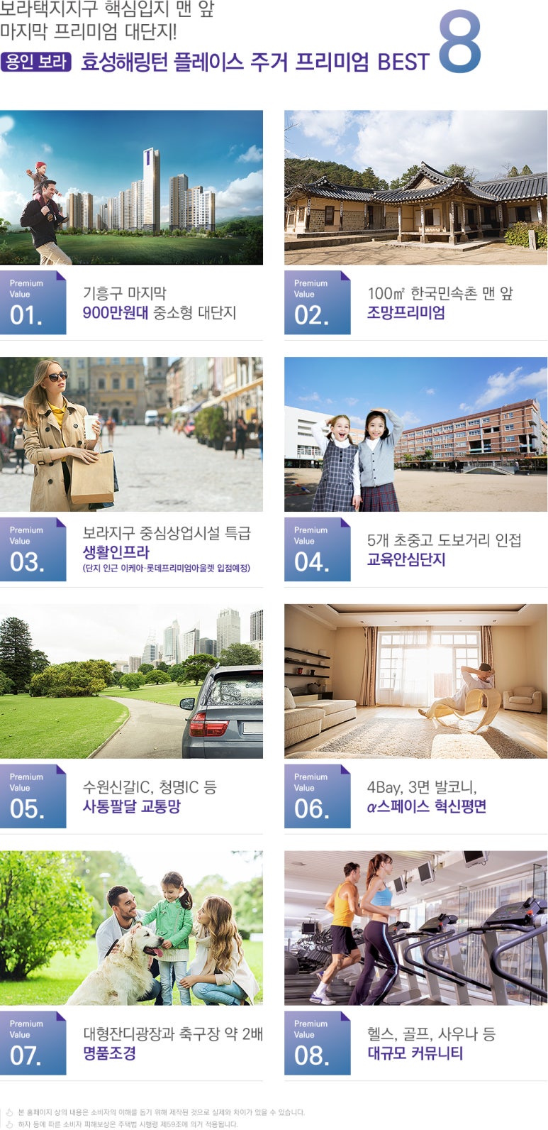 보라인력 이미지