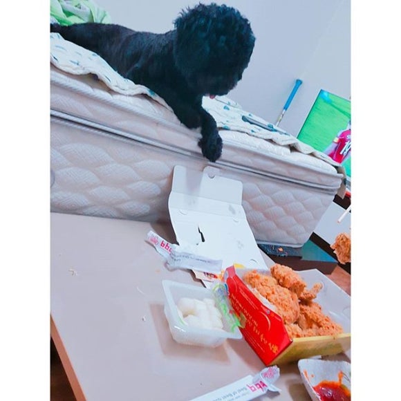 아진정보 이미지