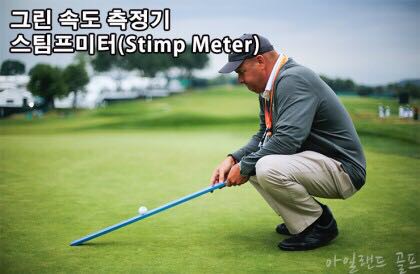 그린그린한오후 이미지