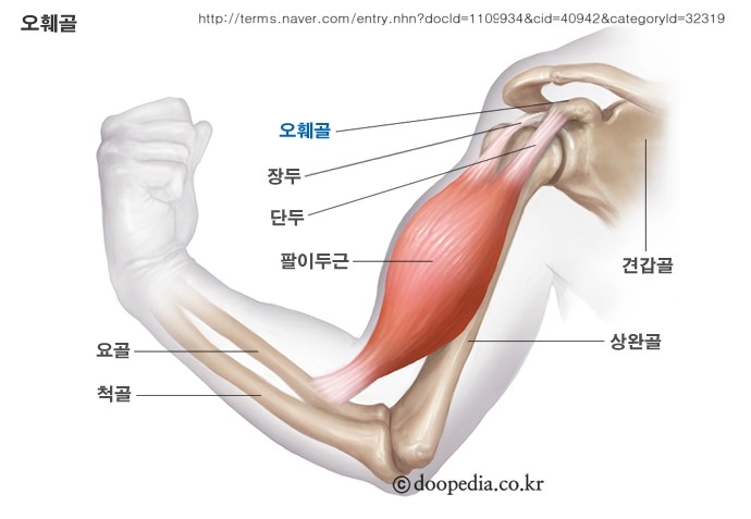VIP휘트니스 이미지