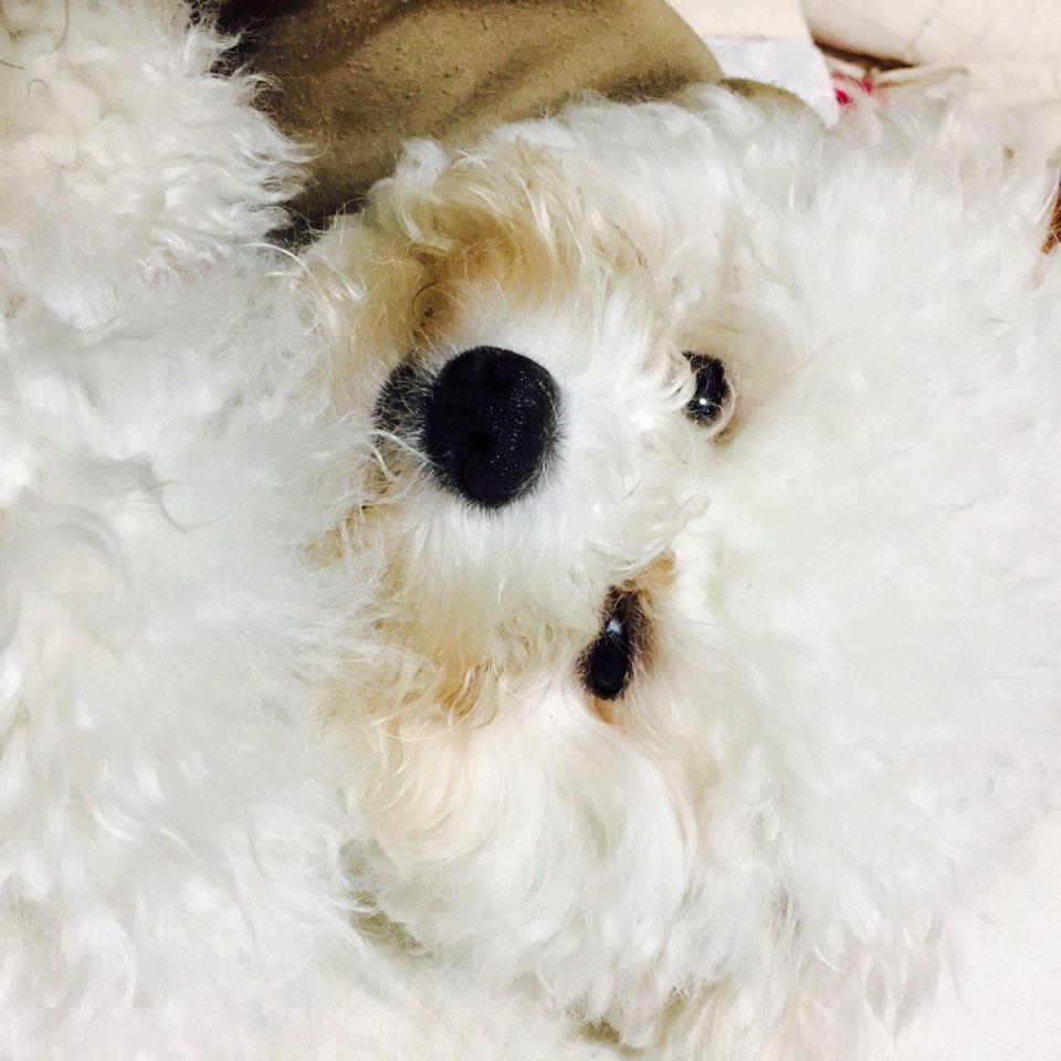 봉자씨 이미지