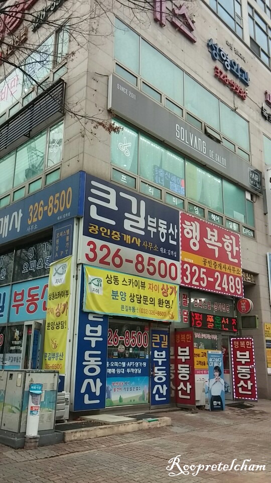솔뱅드살롱 이미지