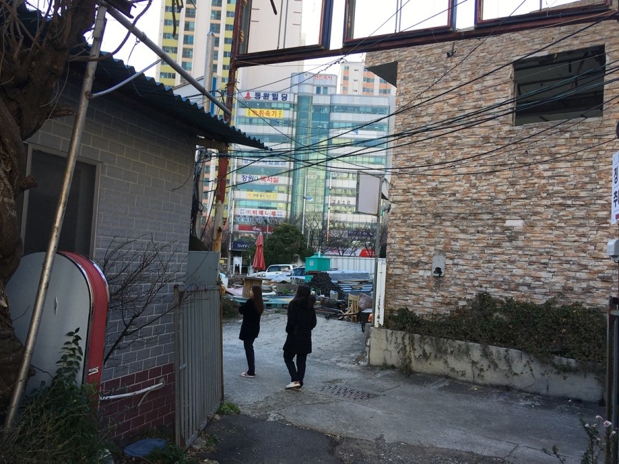 금하정식 이미지
