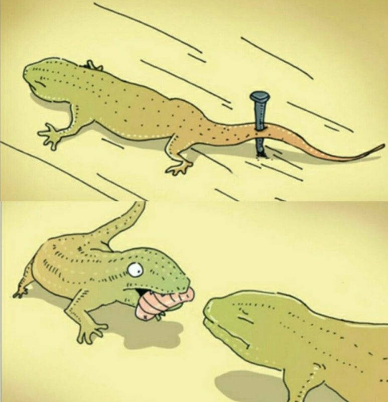 홈인까사 이미지