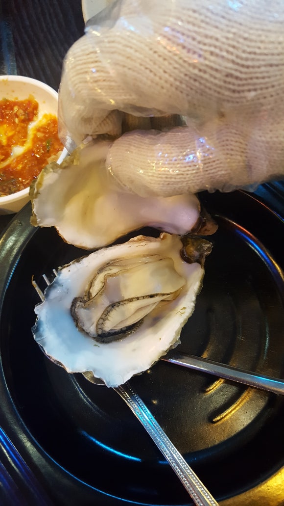 광어총각생굴처녀 이미지