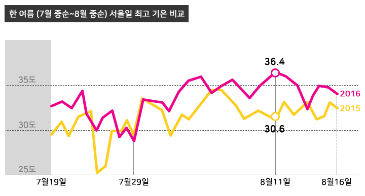 태양전기조명 이미지