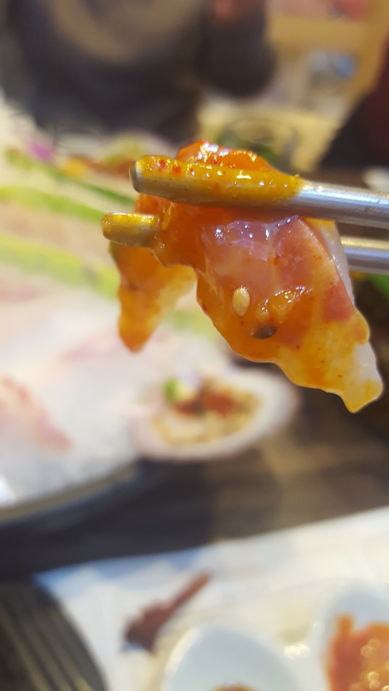 그물에걸린바다풍경 이미지