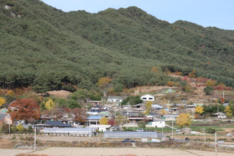 운봉농업협동조합하나로마트 이미지