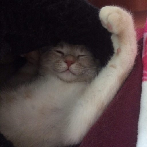 동송민박 이미지