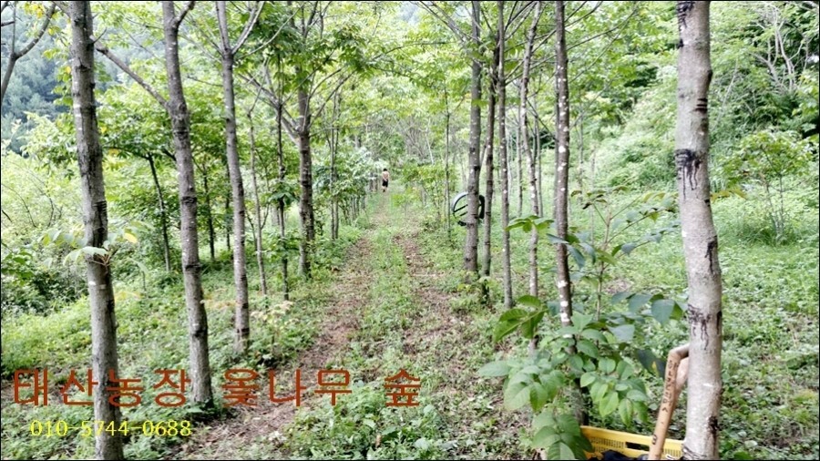 태산농장 이미지
