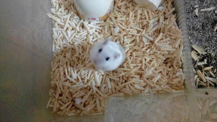 찍 이미지
