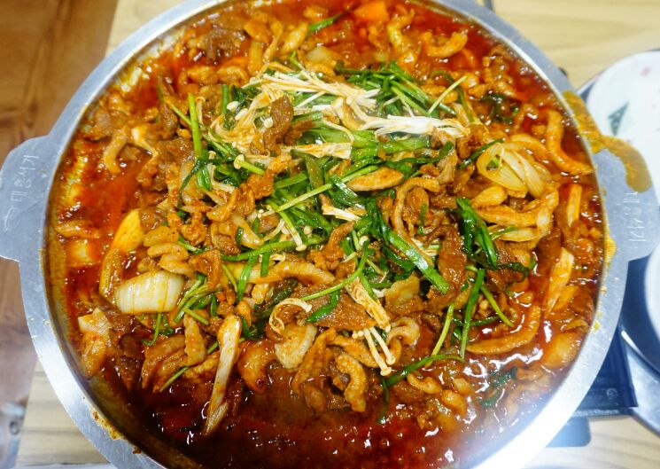 천년오리 이미지