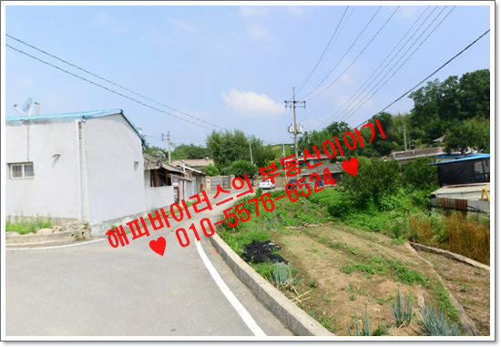 전주호성중학교 이미지