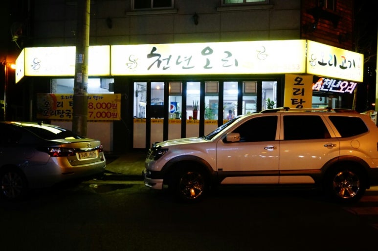 천년오리 이미지