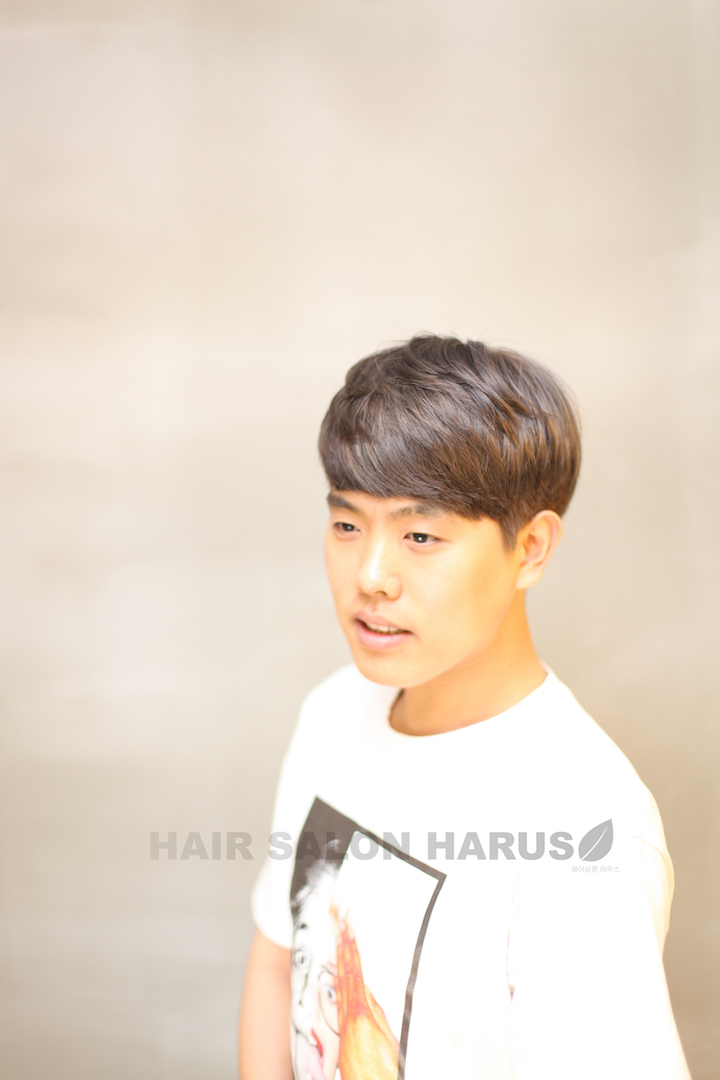 하루스(HARUS) 이미지