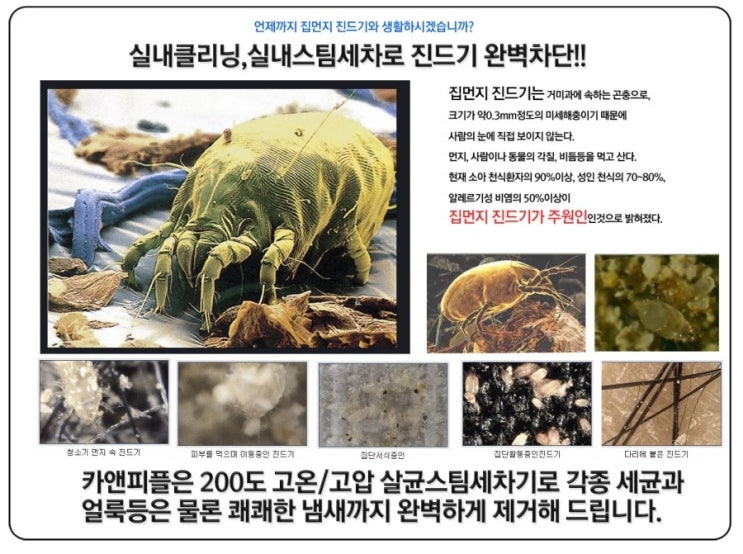 현대출장세차 이미지