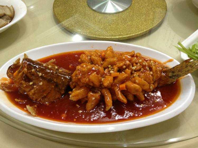 싱싱魚 이미지