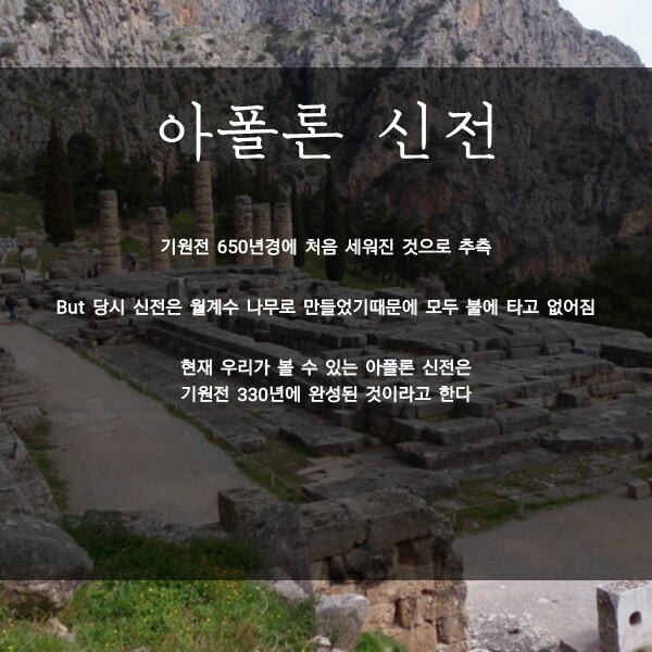 아폴론주 이미지