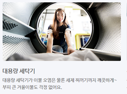 진리세탁 이미지