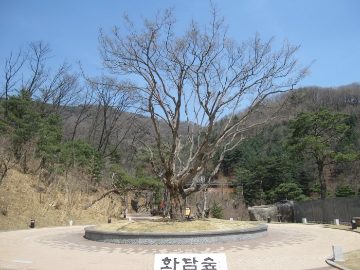 숲속분재원 이미지