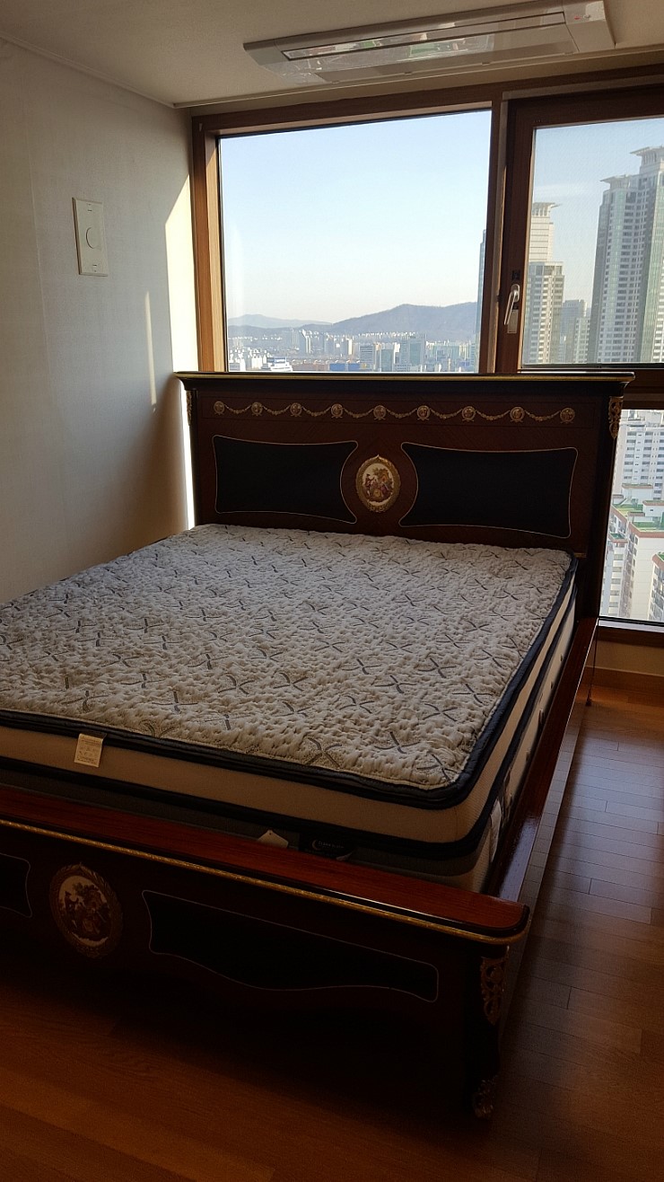 금성헬스 이미지