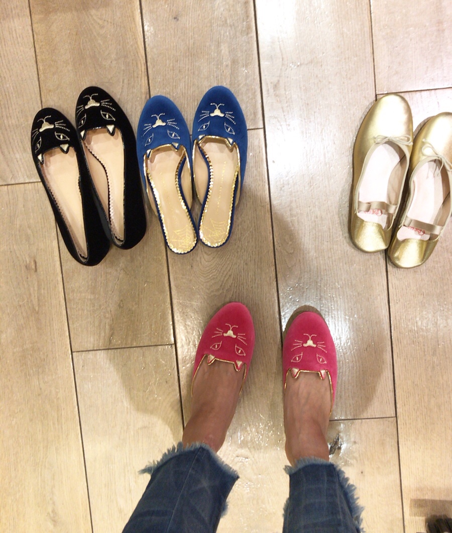 마지꽁뜨 이미지