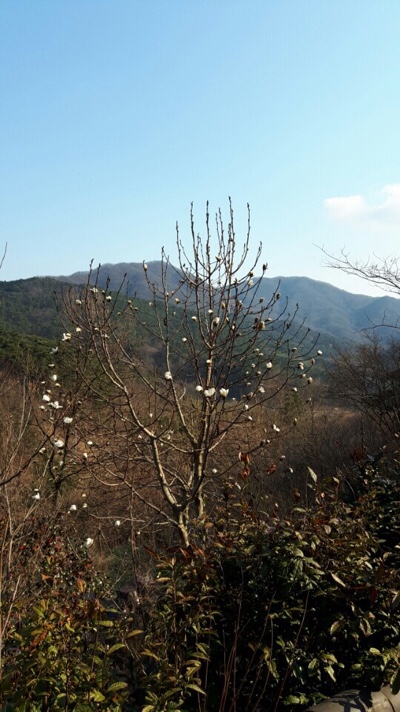 축령산휴림 이미지