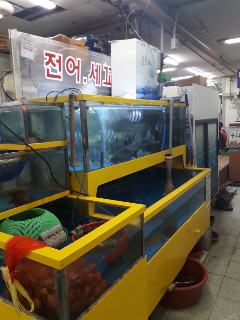 섬마을농수산물 이미지