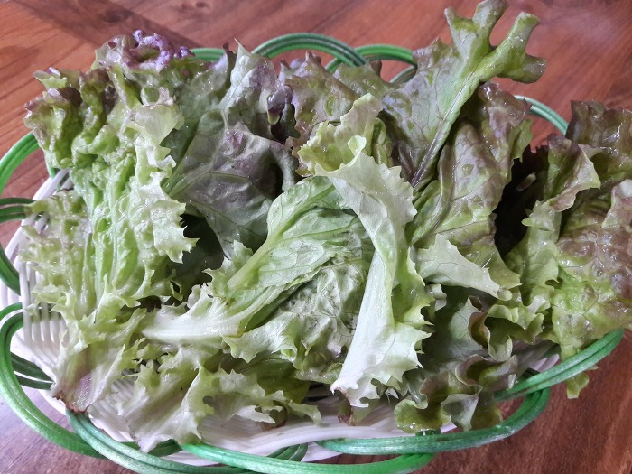 연탄석쇠불고기 이미지