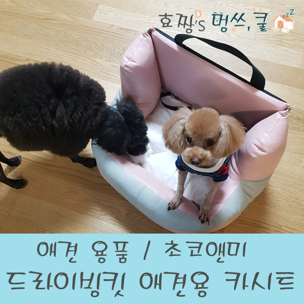 코앤미 이미지