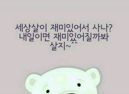 이동초등학교 이미지