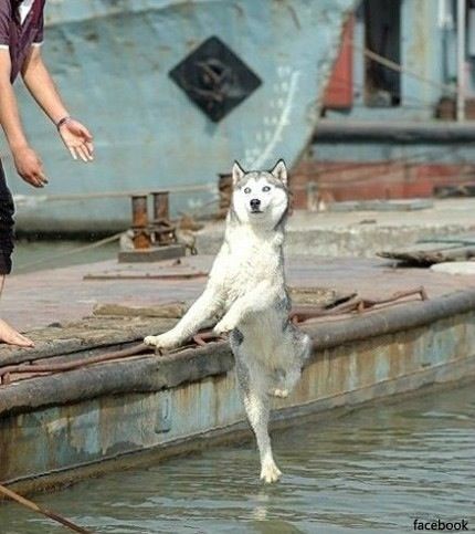 아 이미지