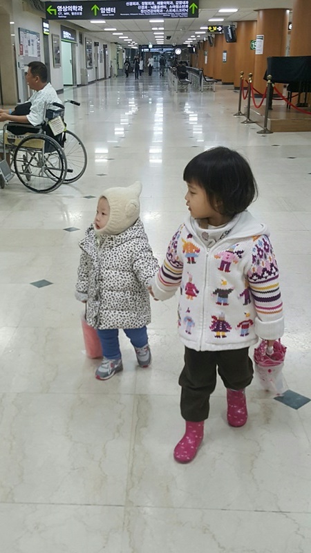 꽃다옴 이미지
