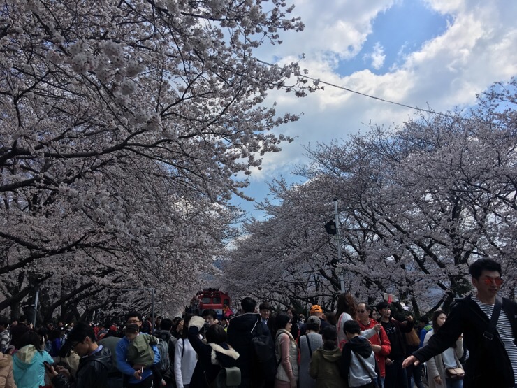 경화상회 이미지