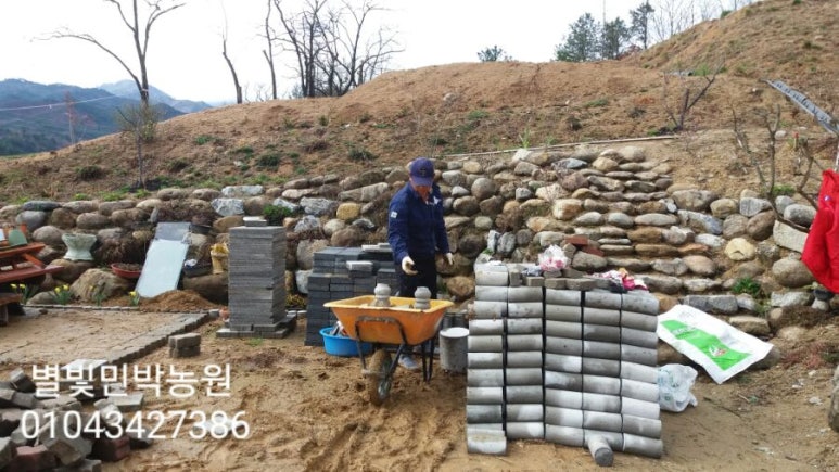 별빛민박농원 이미지