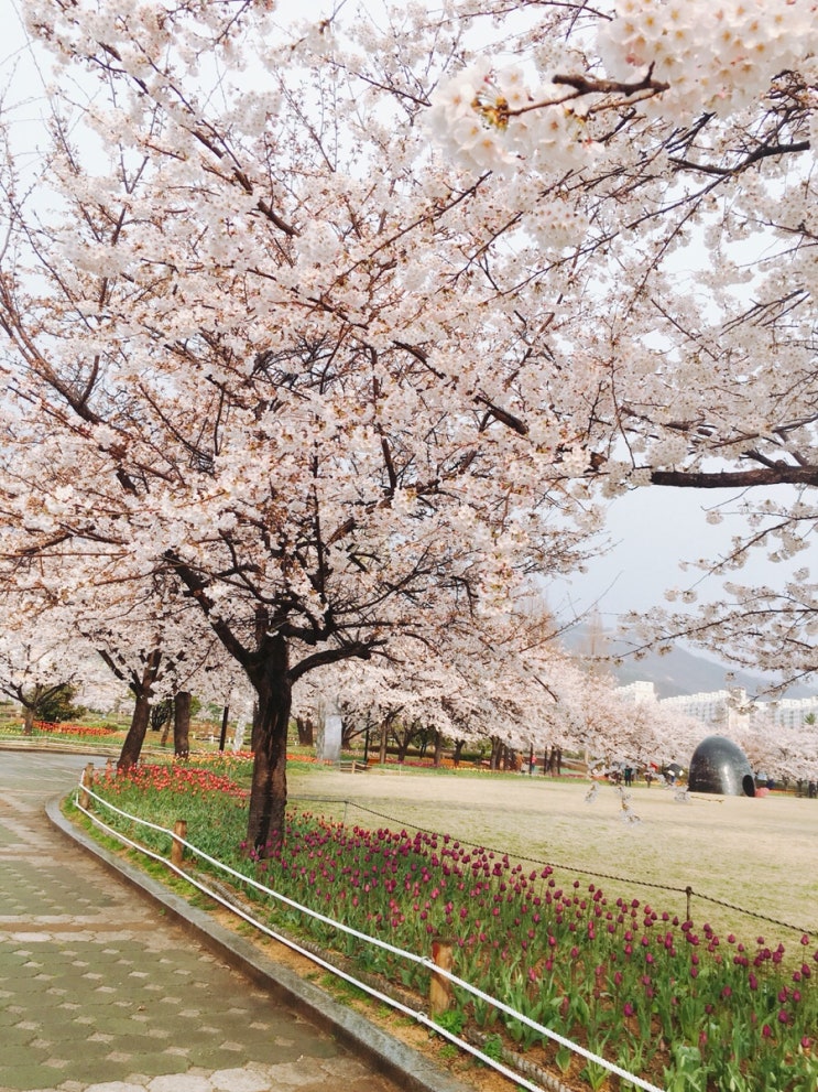 연지커피숍 이미지