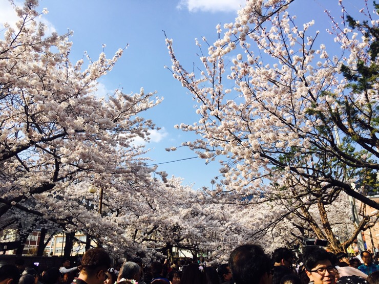 경화상회 이미지