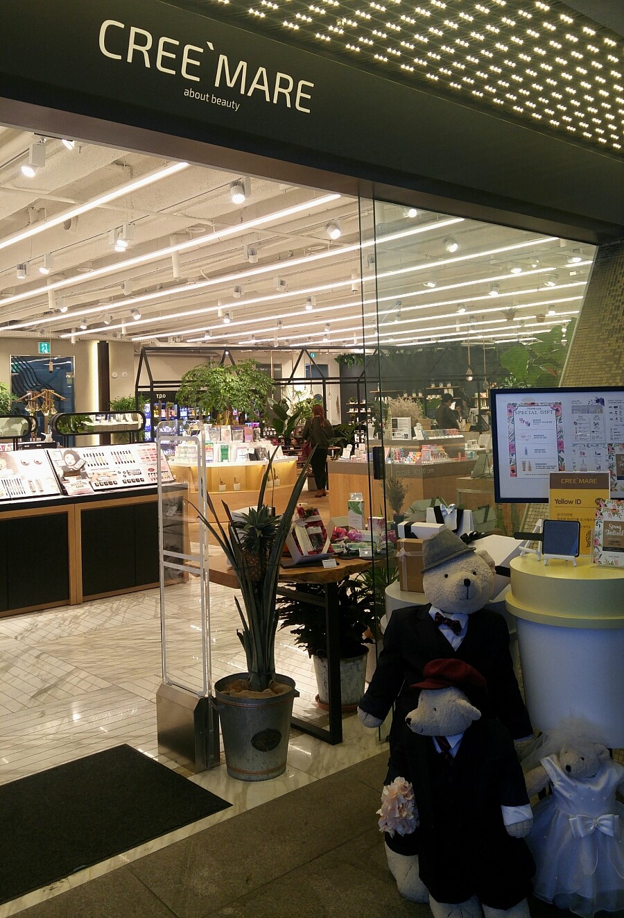 마레뷰티 이미지