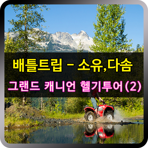 다솜투어 이미지