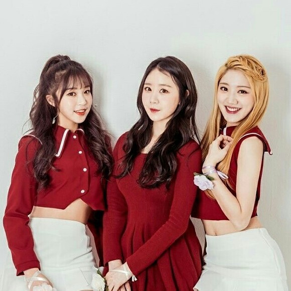 베이비부(BabyBoo) 이미지