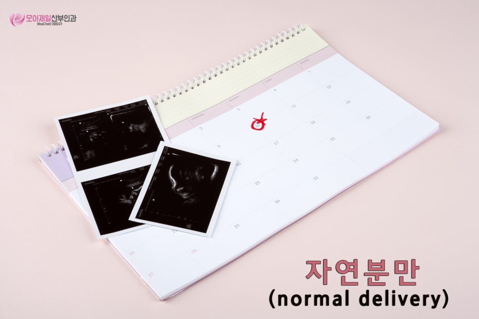모아산부인과병원 이미지